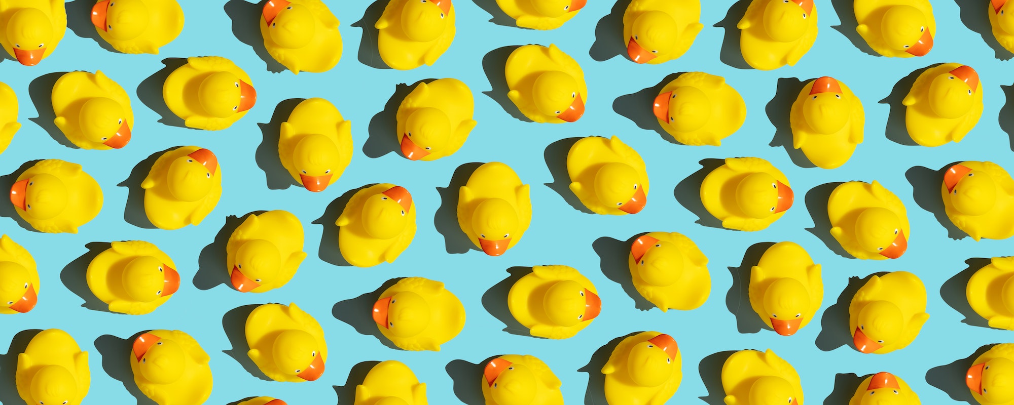 Collection of yellow rubber ducks on a blue background